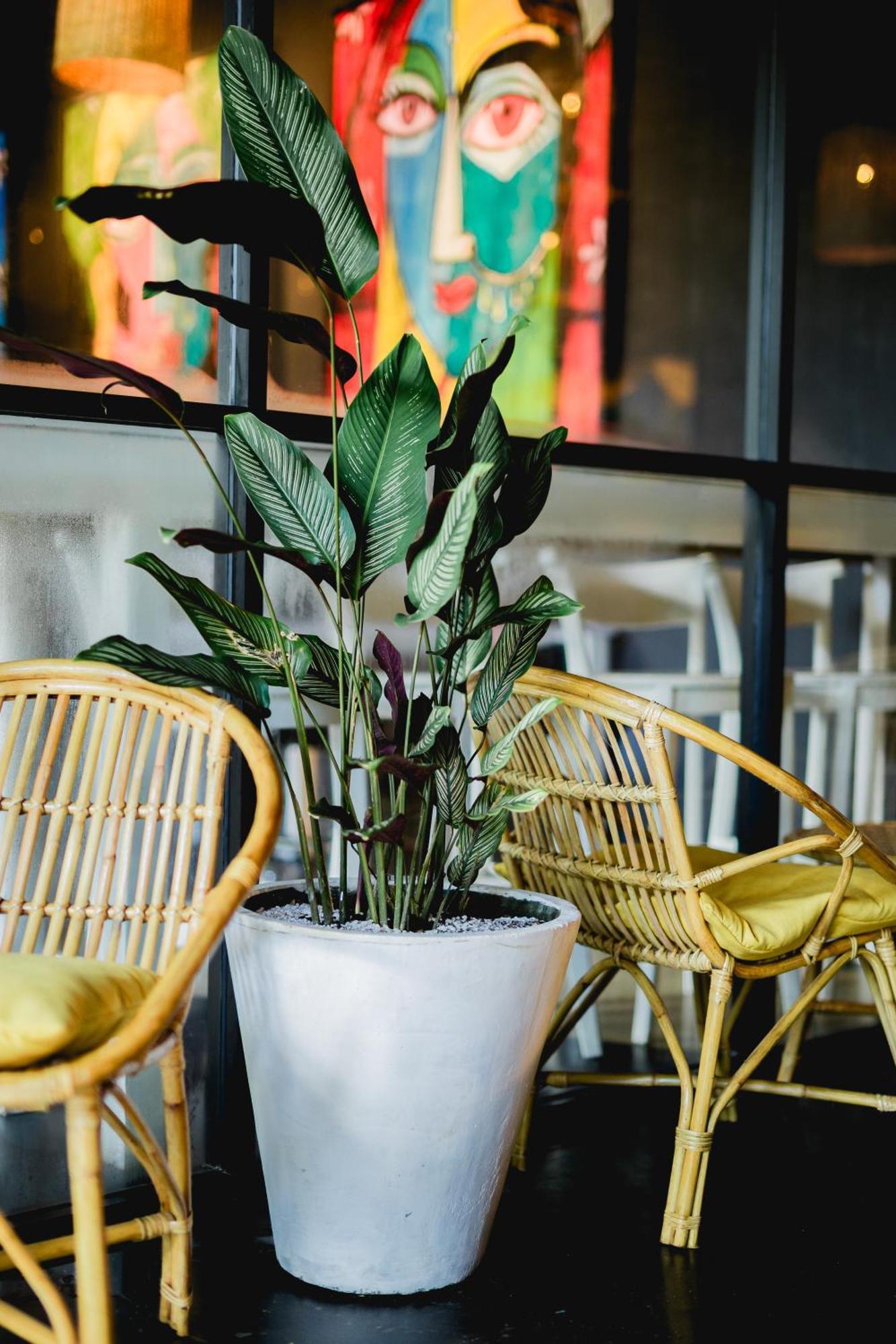 Sugar Hostel Weligama - Coliving & Coworking Luaran gambar